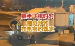 飞机上能不能使用充电宝(飞行中是否允许携带和使用充电宝？解决旅行必知问题)