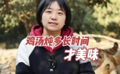 炖鸡肉炖多长时间才能好吃(炖鸡肉的最佳时间是多长？教你制作美味炖鸡肉)