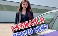 汽车分为几种级别如A级B级等(汽车级别介绍：从A级到B级等，你知道几种？)