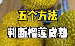 榴莲熟透了和坏了怎么区分(如何判断榴莲成熟和变质？实用小技巧)
