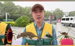 四害指什么四害介绍(什么是四害？四害详解及防治方法)