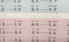 糊涂的反义词是什么(糊涂的反义词是什么？快来了解一下)