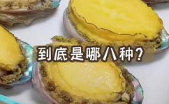 海八珍是哪八珍之首(揭秘海八珍中哪一种才是首屈一指的八珍？)