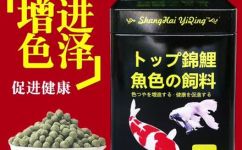 金鱼与鲤鱼的比较(金鱼和鲤鱼有什么区别？深度解析)