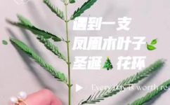 凤凰木的作品(凤凰木制作的艺术品)