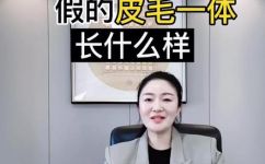 复合皮毛一体什么意思(复合皮毛一体的含义及使用场景解析)