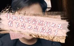 手机号被暂停服务怎么恢复(手机号被暂停服务，如何快速恢复？)
