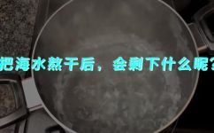 煮海为盐的科学原理是什么(揭秘煮海为盐的科学原理，了解盐从海洋到餐桌的过程)