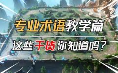 游戏等级lv啥意思(游戏等级LV解释含义及作用)