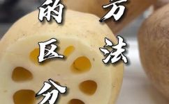 莲藕有几个孔的区别(如何分辨莲藕不同孔数的区别？)