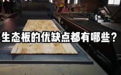 杉木的优点和缺点介绍(杉木的优缺点全面解析：了解其优势长处与不足之处)