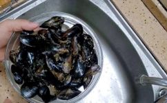 黑色的贝壳海鲜叫什么(海鲜黑色贝壳的叫法是什么？ 吃货必读)