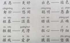 粗糙的反义词是什么(粗糙反义词是什么？解析常见的反义词列表)