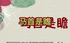 唯余马首是瞻的意思是什么(唯余马首是瞻的意思及来源，了解一下)