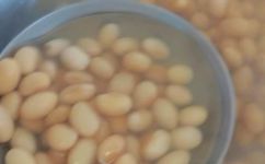黄豆怎么泡软的快(黄豆泡软技巧大全  轻松学会如何快速煮软黄豆)