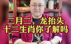 夜夜笙歌是什么生肖(解谜夜夜笙歌属于哪个生肖？解答在这里)