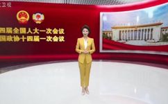 长江流域城市(发展规划及关键问题分析)