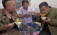 东北山货土特产都有什么(了解东北山区土特产，探寻丰富多彩的山货家乡美食)