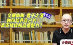 文质什么什么(文质什么什么 )