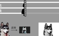 洗照片是什么意思(洗照片是什么，为什么需要洗照片？理解照片修饰的含义)