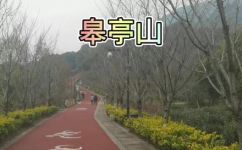 登临的近义词(攀登之乐：探寻登临的精髓)