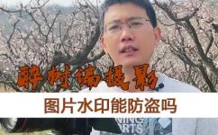 水印是什么意思(如何定义水印及其作用全面解读水印含义)
