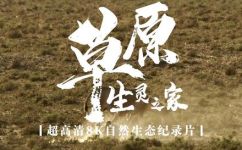 草原上有什么动物(草原生态：探秘草原动物的生活方式)