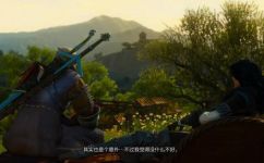 巫师3花园狼人完美结局(巫师3：花园狼人结局攻略，如何达到完美结局？)