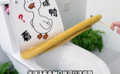 针织马桶垫怎么往上套(如何正确使用针织马桶垫？上套技巧大揭秘)