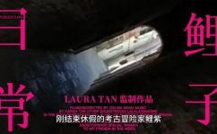 求小说历史考古探险类的(历史考古之旅：探索小说世界中的探险冒险之旅)