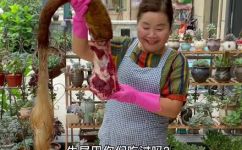牛尾巴怎么煮(如何煮牛尾巴：教你制作美味牛尾巴的方法)