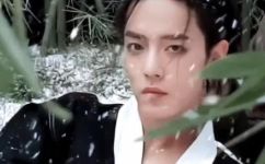 修竹的寓意(探究修竹在中国文化中的深刻寓意)