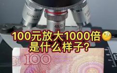 一万块钱百元人民币约有多重(揭秘一万块钱中的百元人民币究竟有多重？)