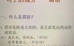什么叫谓语介绍(谓语介绍是什么，怎么理解谓语介绍呢？解析谓语介绍的意义和用法)