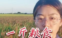 敌不动我不动下一句(敌不动我不动的下一句有什么含义？探究其深层意义)