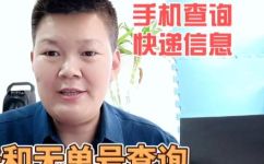 怎么查询快递物流(快递物流查询方法有哪些？详解快速查询快递物流的技巧)