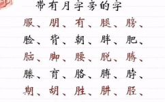 月字旁的字和什么有关(月字旁的字与哪些汉字有关？)
