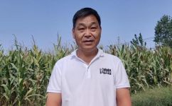 史丹利复合肥是哪里生产的(探究史丹利复合肥的生产地点，寻找肥料品牌背后的制造商)