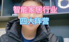 中国智能家居分为哪几大阵营(探究中国智能家居市场，揭秘分为哪几大阵营)