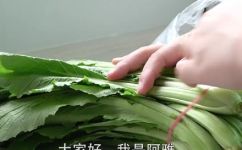 小白菜包子馅儿的做法(实测小白菜包子馅儿制作，做法详解)