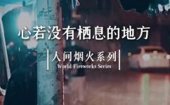 心无处安放什么意思(心灵流浪：解读心无处安放的含义)