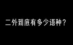 什么是二外(二外是什么？探究外语教育中的二外选修班)