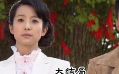九丹剧情介绍大结局(九丹大结局剧情透析，不容错过)