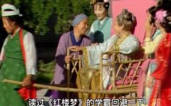 刘姥姥几次进大观园(揭秘刘姥姥进大观园的故事，看看她到底经历了多少次)