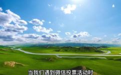 微信群如何投票(微信群投票，轻松实现，简单操作)