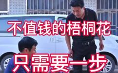 梧桐花怎么养才能开花(梧桐花怎么养？八招让您顺利开出绚烂花朵)