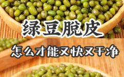 脱皮绿豆可以做什么(脱皮绿豆的用处大揭秘还你一个健康美味的菜谱)