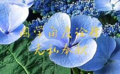 奉献的意思词语出处介绍(奉献的意义及来源介绍：深入探究此词语的意义和起源)