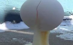 0会结冰吗(夏日天气下，0度会结冰吗？探究低温环境下物质的状态变化)