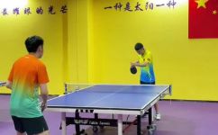 乒乓球团体赛比赛规则(乒乓球团体赛比赛规则详解及注意事项)